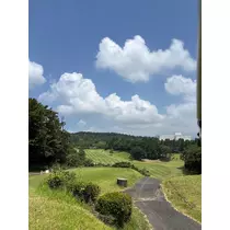 椿