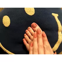 芹澤 あん