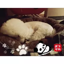 美波 なつ