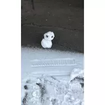 藤本 さや