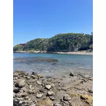 あおい