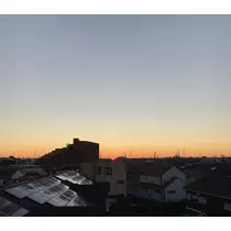 すみれ
