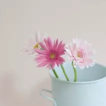 ゆうか