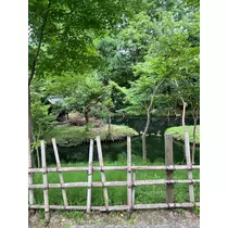 かんな