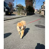 なお
