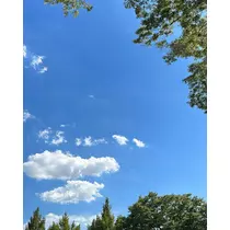 ゆうな