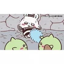 せいら