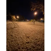 宝條 夏恋