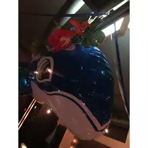 七星 夏純