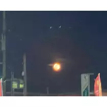 えりか