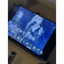 司