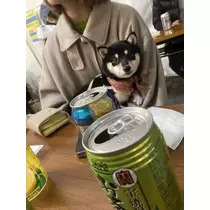みおち