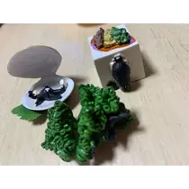 橘 美桜