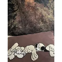 緑 四葉