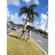 ゆかり