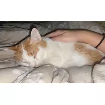 寒河江 春紀