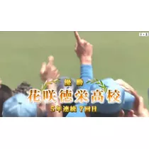 紫音