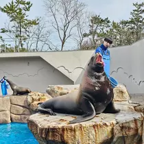 桃 かんな
