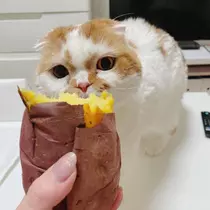 れみ