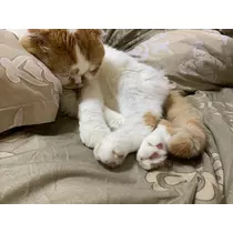 れみ