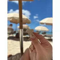 ひより