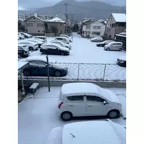 なつき