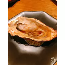 宝條 夏恋