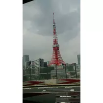 七星 夏純