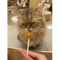 まりん