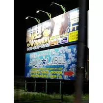 紫音