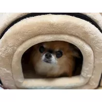 めい