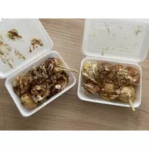 長瀬 純恋
