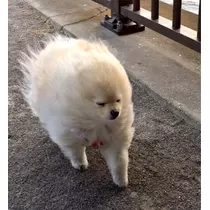 なお