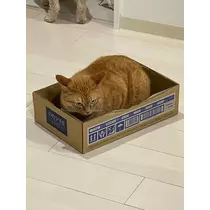 水城 百合
