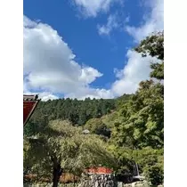成海 まお