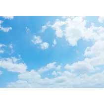 紫音