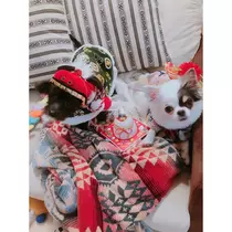 じゅん