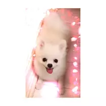 愛音 なぎさ