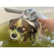 あいら