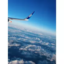 荒木 ナツミ