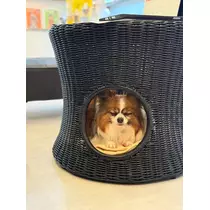 あいら