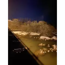 長瀬 純恋