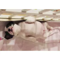 妃 えりか