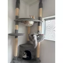 ナギ