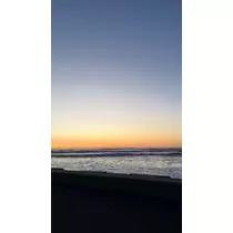 せら