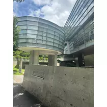 香川 ゆい