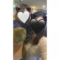 あいか
