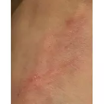 諸星 海