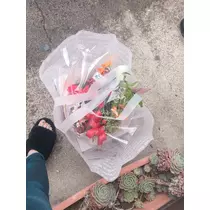 美月