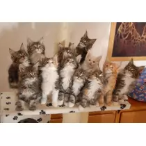あい